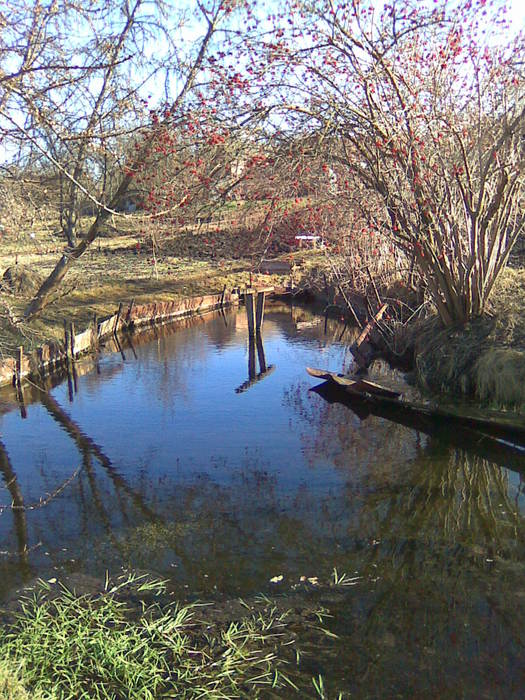1 (525x700, 105Kb)
