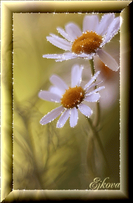 46098663_6638444lg (263x400, 200Kb)
