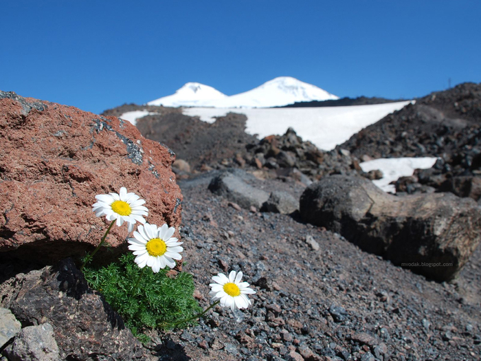 Under_Mt_Elbrus_27342 (700x525, 419Kb)