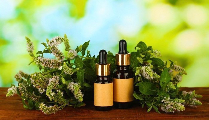 PeppermintOil-850x486 (700x400, 62Kb)
