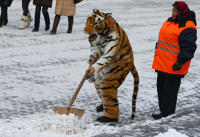 1261825887_winter_snow_photos_040 (700x482, 188Kb)