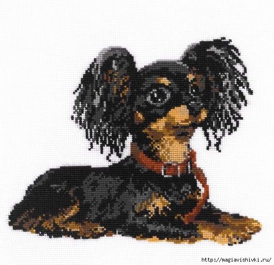 Stitchart-rus-terer0 (566x546, 224Kb)