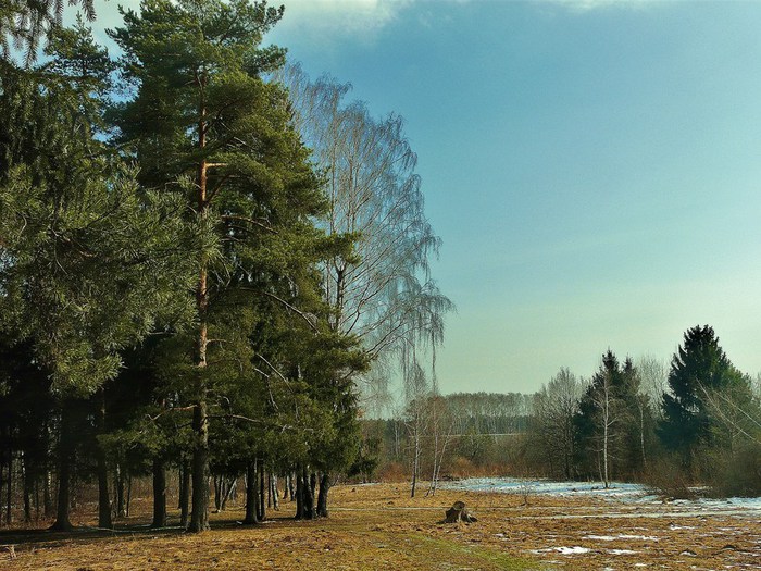    21 03 14.    (700x525, 131Kb)
