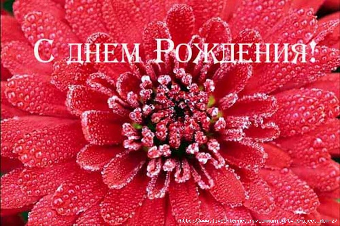 Смешные прикольные 40 Смешные прикольные 6
