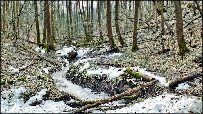     /3673959_4_1_ (700x395, 94Kb)