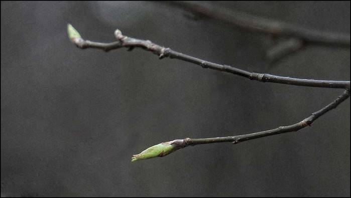 /3673959_12 (700x395, 20Kb)