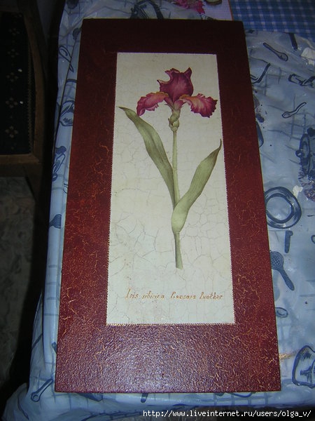 4964063_DSCN7723 (450x600, 166Kb)