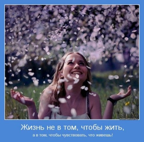 1368762595_www.radionetplus.ru-7 (500x496, 111Kb)