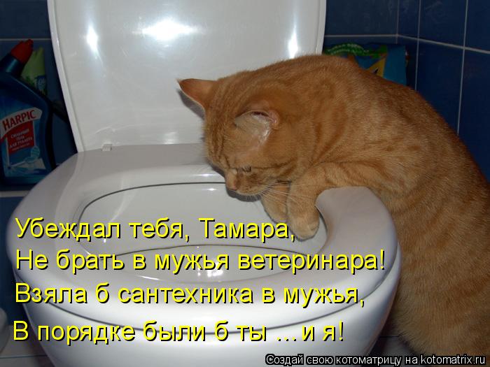 1396038879_04 (700x525, 60Kb)