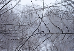  DSC00071-1 (700x484, 266Kb)