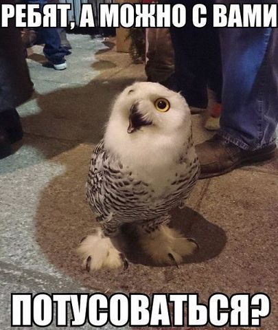   (405x480, 44Kb)