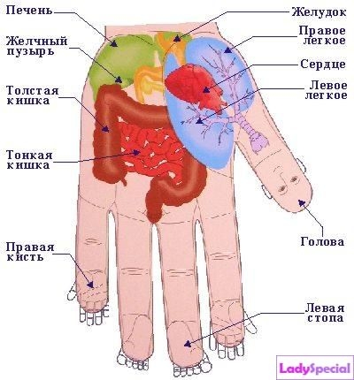 12_(7).4 (400x430, 97Kb)