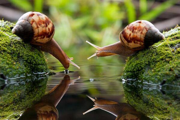 april_105-14 (599x401, 49Kb)