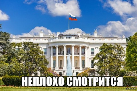  (480x320, 59Kb)