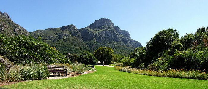 800px-Kirstenbosch_-_View_from_the_Botanical_Gardens (700x300, 79Kb)