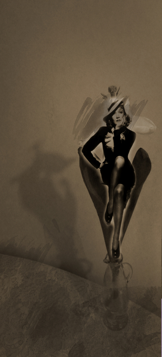  1442 (318x700, 181Kb)