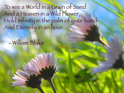 blake-to-see-a-world-flower-phoolanjaya (500x375, 37Kb)