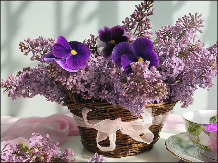 4796576_getImage (700x523, 147Kb)