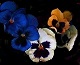 2014-04-03_021114 (80x65, 3Kb)