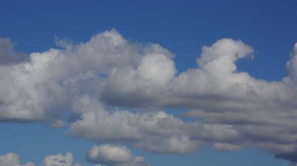 10171247_804510052912531_356889828_n (600x337, 11Kb)