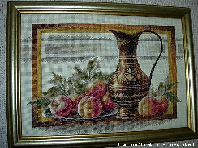DSCN0182 (640x480, 254Kb)