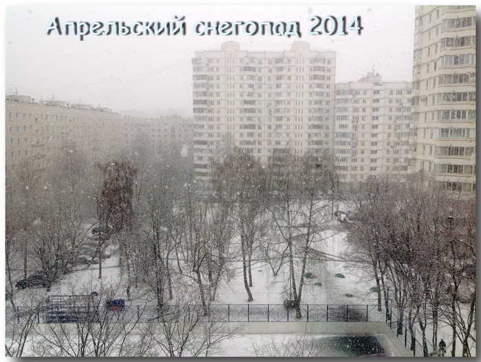 3587765_IMG_0849 (700x526, 309Kb)
