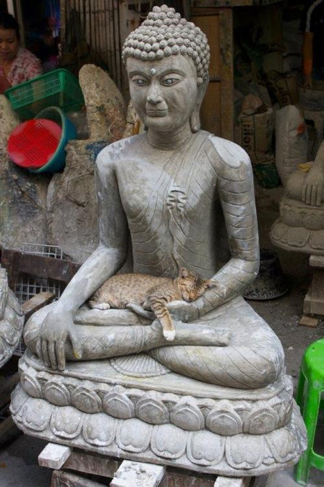 6b7f6d92c2bcebe00ab18b6205b0dc48 (466x700, 327Kb)