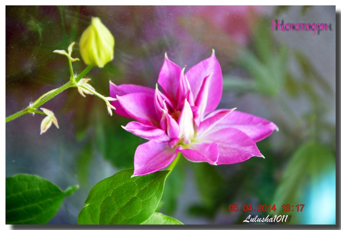 3587765_DSC_1928 (700x472, 218Kb)