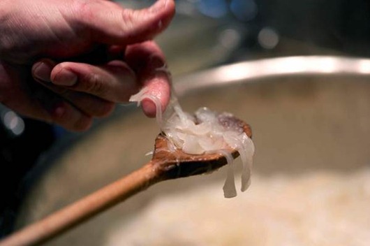 clip_image010_thumb[1] (530x352, 31Kb)