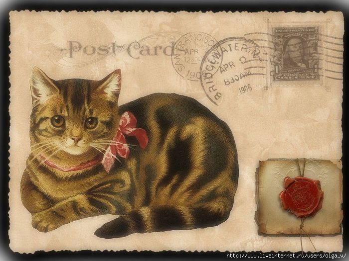 4964063_Postcard_BKG_1_c (700x525, 196Kb)