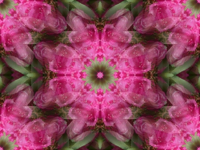 5 (700x525, 309Kb)