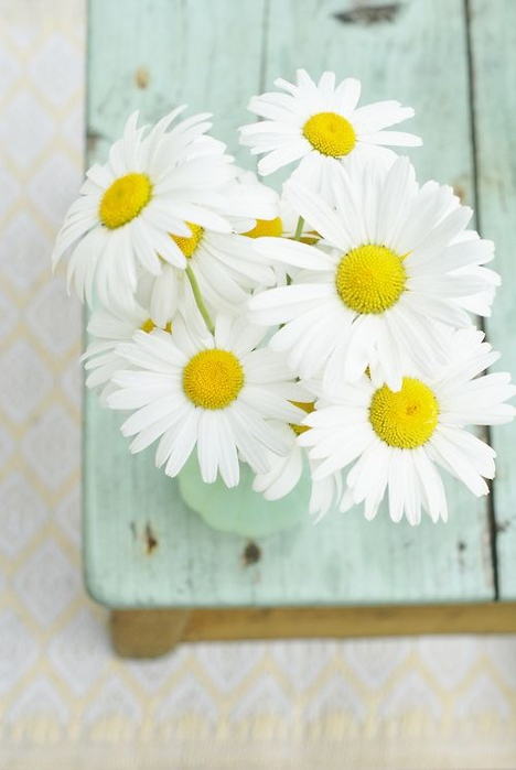 Angill Smile (468x700, 227Kb)
