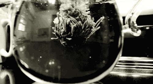 3470510_tumblr_lxeionQkn91qcdlamo1_500 (500x274, 491Kb)