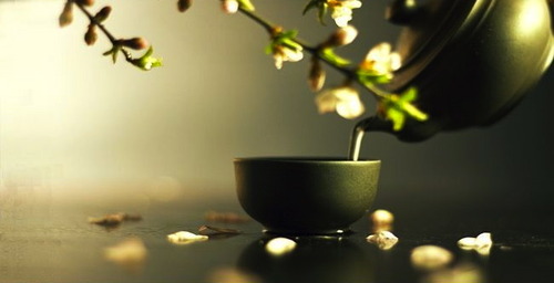 3470510_tumblr_mzigziddTb1to1t35o1_500 (500x256, 30Kb)