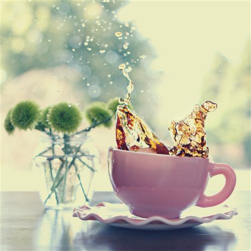 3470510_tumblr_n1j667mk4D1to1t35o1_500 (500x500, 36Kb)