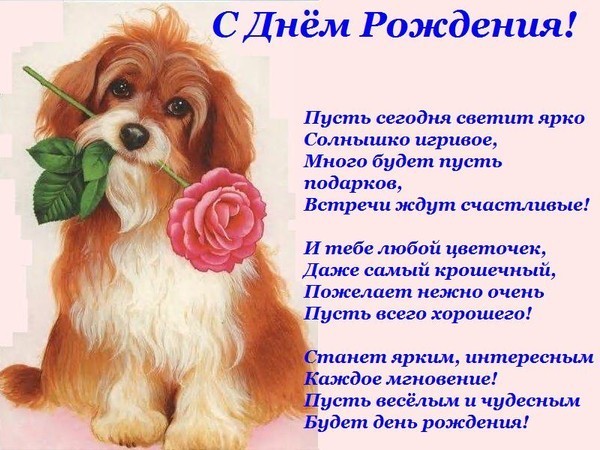 92309545_87108096_de87c1fc053d1 (600x450, 89Kb)