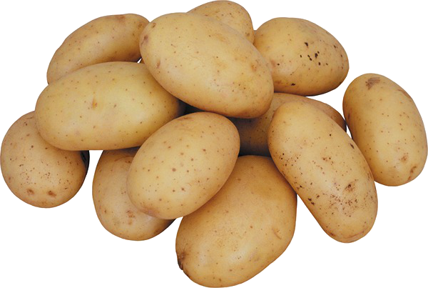 5177462_1329301671_poster_potato45 (600x403, 378Kb)