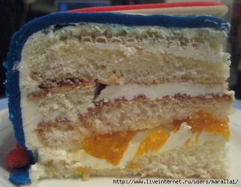 IMG_7166 (486x376, 147Kb)