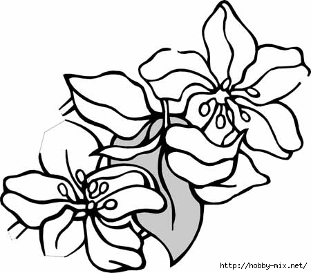 flower-coloring-pages-101 (450x395, 76Kb)