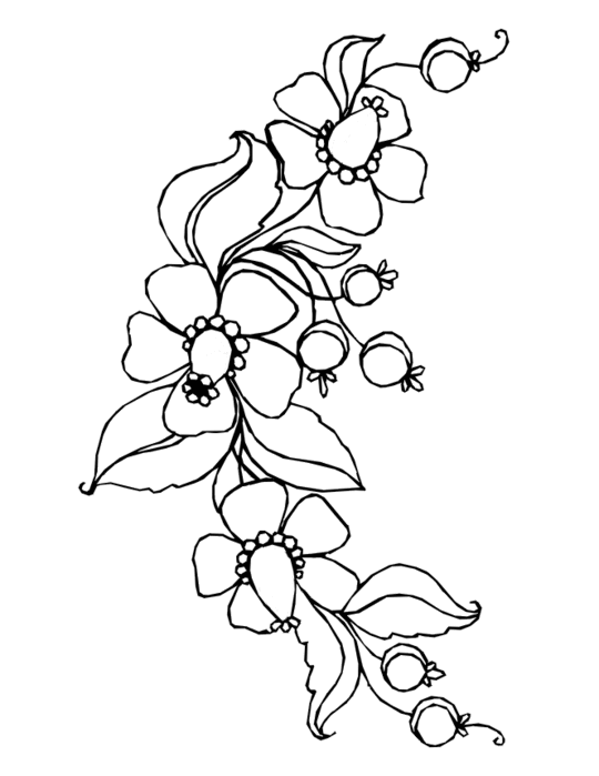 great-spring-flowers-coloring-pages-for-kids-htmleaster-perfect-for-your-kids (540x700, 40Kb)