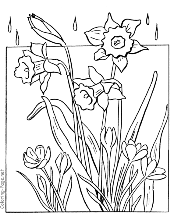 spring-coloring-page-flowers-in-rain (571x700, 93Kb)