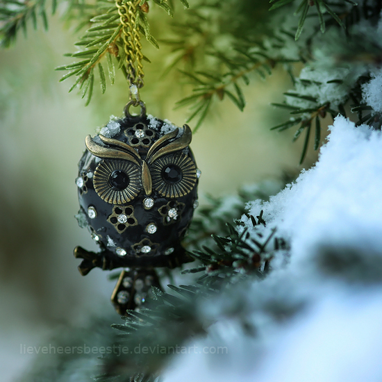 snowy_owl_by_lieveheersbeestje-d4oqlf1 (550x550, 341Kb)