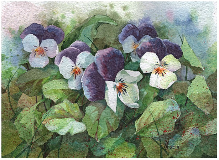 pansies_by_kosharik69-d7e4umg (700x511, 477Kb)