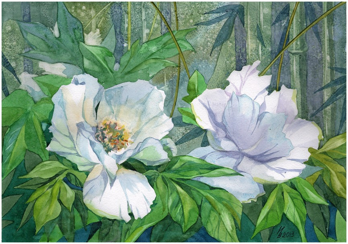 white_peonies_by_kosharik69-d5sg5xg (700x492, 435Kb)