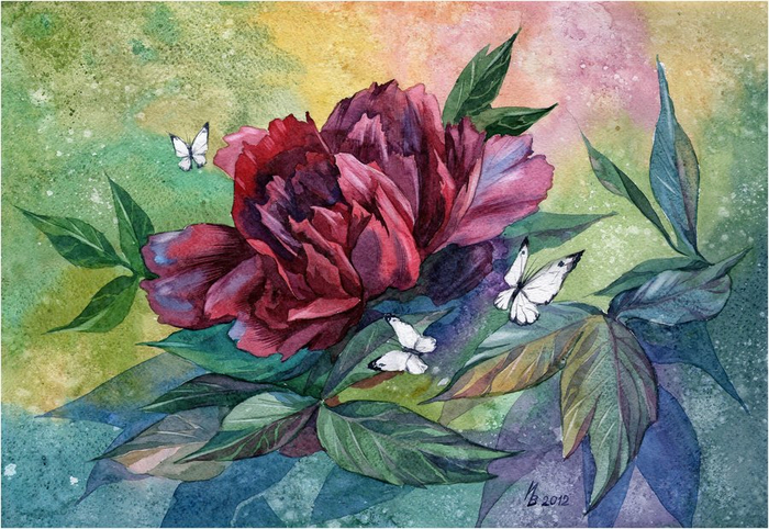 black_peony_by_kosharik69-d54t1yp (700x482, 434Kb)