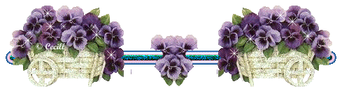 1398164103_65106173_a8d112f29e4e (489x134, 46Kb)