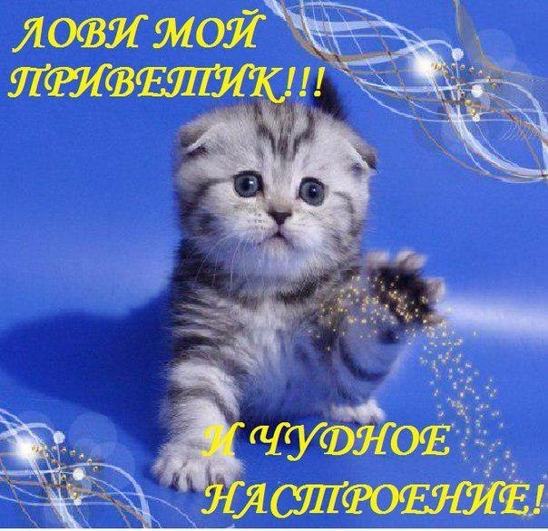 http://img0.liveinternet.ru/images/attach/c/10/126/815/126815782_RRyoRRRyoR_RSRyoRRSRyoRjpg1jpg1.jpg