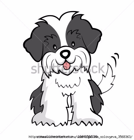 stock-photo-puppy-cut-shih-tzu-isolated-156006539 (450x470, 72Kb)