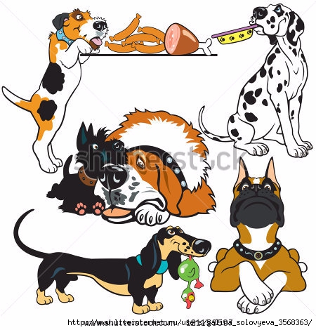 stock-vector-set-with-dog-breeds-cartoon-pictures-isolated-on-white-background-vector-images-121153597 (450x470, 153Kb)