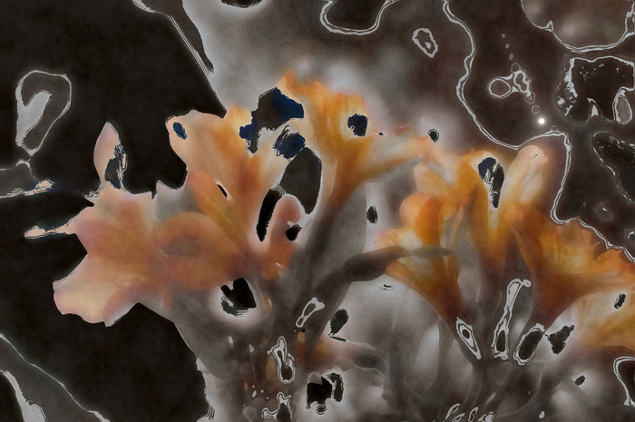 Buket_XIII (700x465, 98Kb)